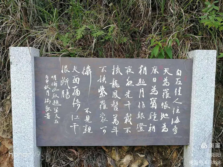 悠悠羚山行